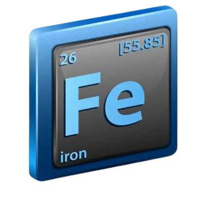 fe-e1703572345863-removebg-preview