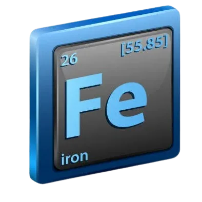 fe-e1703572345863-removebg-preview