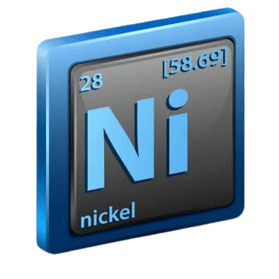 ni-e1703572626928-removebg-preview