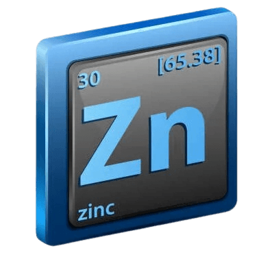 zn-e1703659097539-removebg-preview