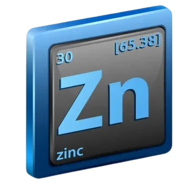 zn-e1703659097539-removebg-preview