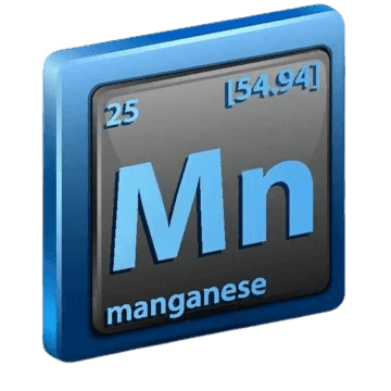 dewatermark-ai_1712551114866-removebg-preview