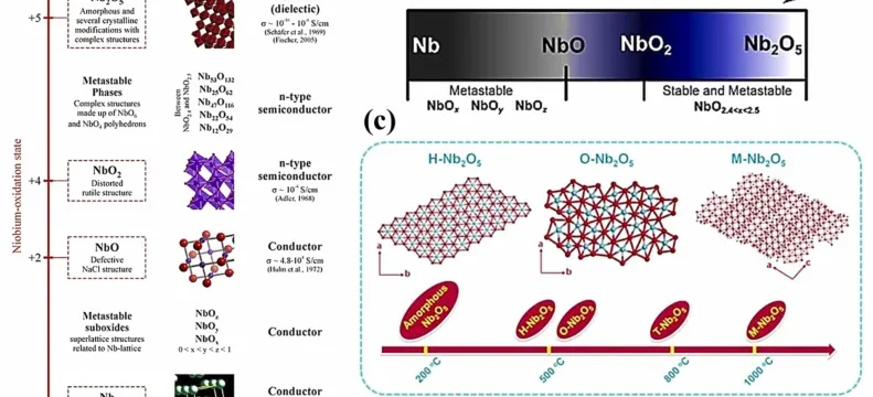 Niobium Oxidation Characteristics