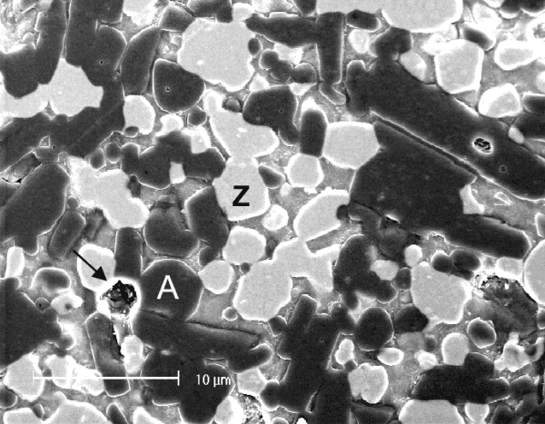 zta-microstructure-of-zirconia-toughened-alumina-slip-cast-ceramic