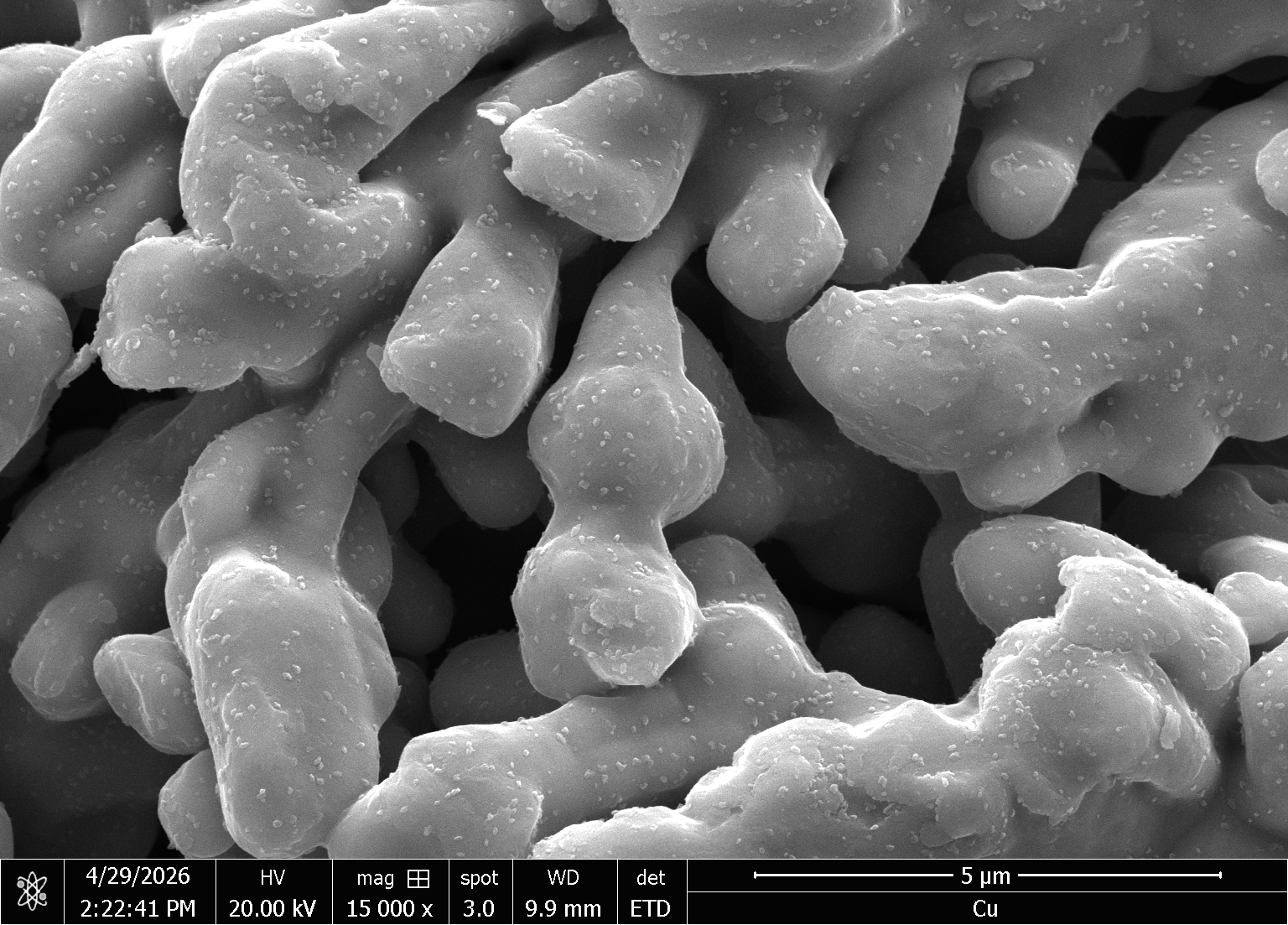 Scanning electron microscope image of copper powder at 15,000× magnification, with a 5 μm scale bar.